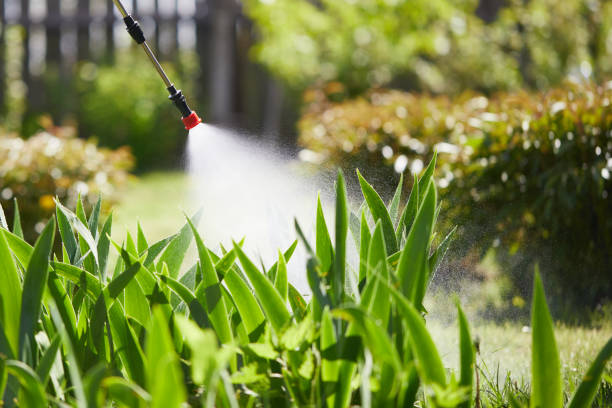 Tamper-Resistant Bait Stations for Rodents in Arcanum