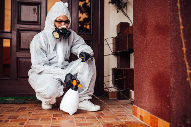 Attic and Crawl Space Rodent Treatment in Arcanum