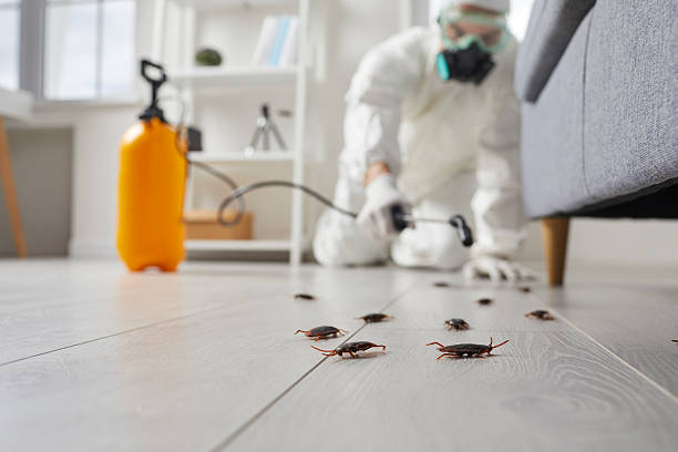 Commercial Rodent Management in Arcanum